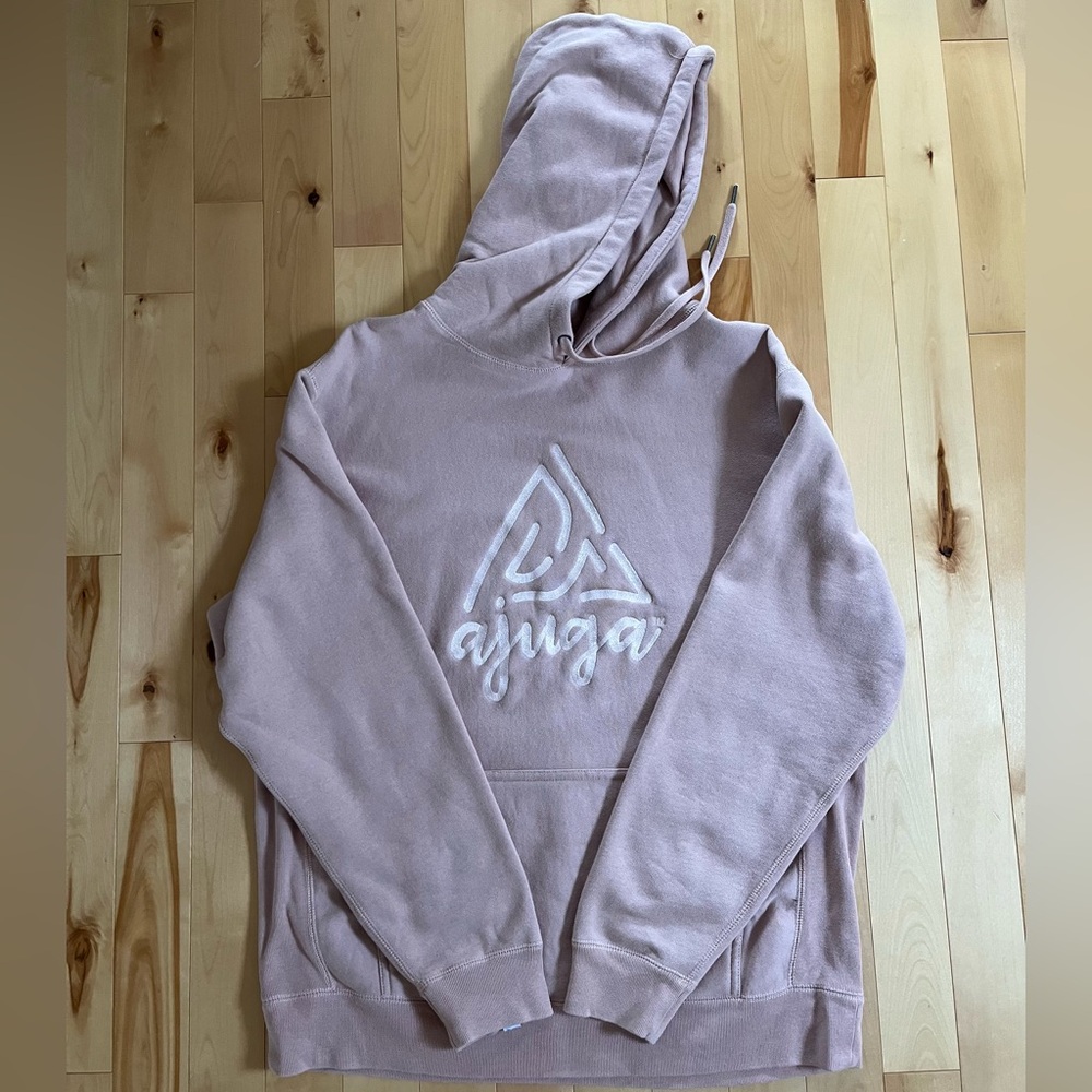 Women's Ajuga Blush Hoodie Sweater in Large